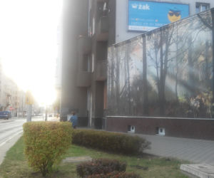 Leśny mural we Wrocławiu