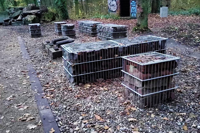 Teren wokół Wieży Quistorpa został uporządkowany