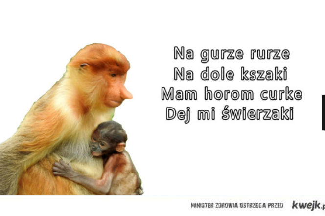 'Mam horom curke' - o co chodzi w akcji internautów?
