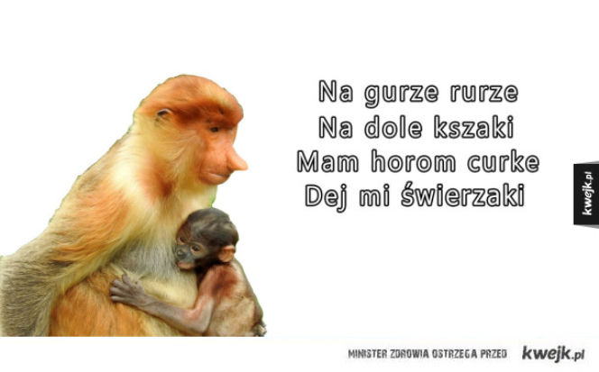 'Mam horom curke' - o co chodzi w akcji internautów?