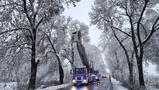 Akcja "zima" w Małopolsce