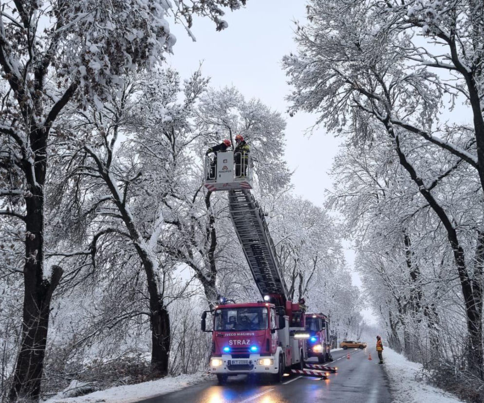 Akcja zima w Małopolsce