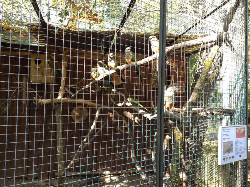 Ogród zoologiczny im. Stefana Milera w Zamościu
