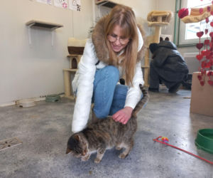 Mruczki ze schroniska w roli głównej