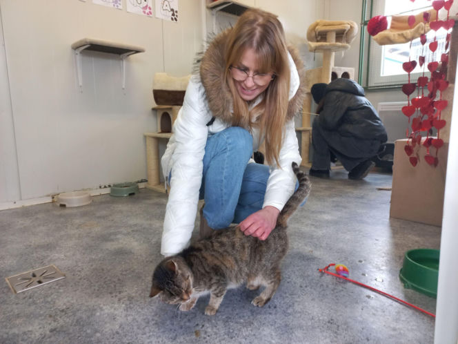 Mruczki w roli głównej. Dzień Kota w schronisku dla bezdomnych zwierząt w Henrykowie