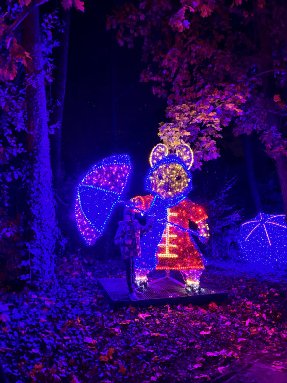 Otwarcie Lumina Parku w Poznaniu. Tegoroczne świecące miasteczko robi fenomenalne wrażenie!