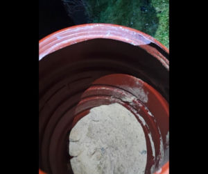 Kilkadziesiąt kilogramów amfetaminy na podwórku. Narkotyki wozili taczką!