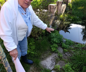 Dziki rów dzieli działkę, a urzędnicy rozkładają ręce. Seniorka drży, że dom osunie się do wody