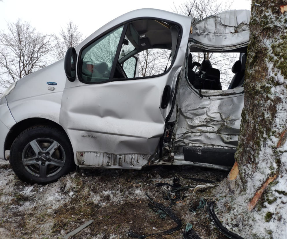 Bus uderzył w drzewo. Na szczęście podróżującym nic się nie stało [ZDJĘCIA]