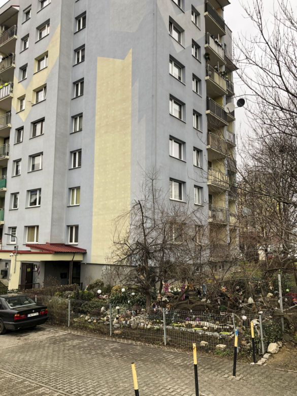 Lalki i misie wiszące na drzewie przy Budziszyńskiej 