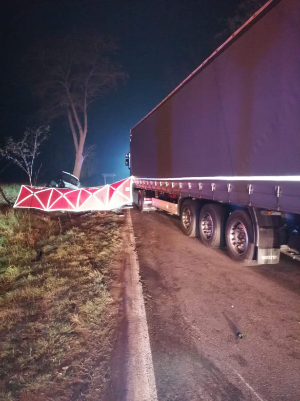 Makabra pod Szamotułami! Jedna osoba ZGINĘŁA w wypadku na DW 187