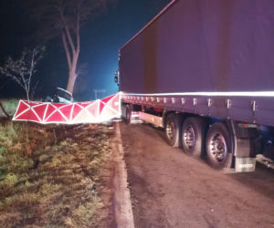 Makabra pod Szamotułami! Jedna osoba ZGINĘŁA w wypadku na DW 187