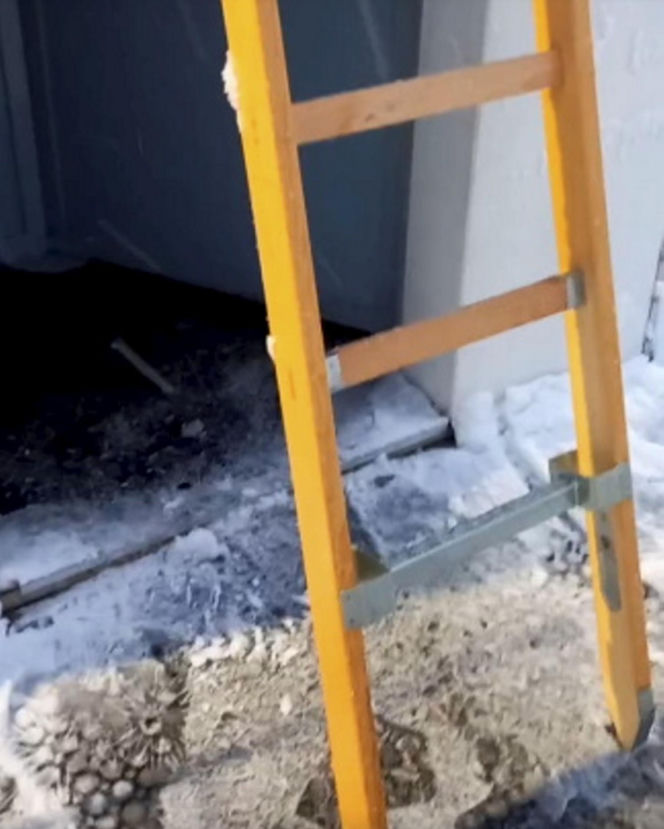 Na lodowisku zapadł się dach