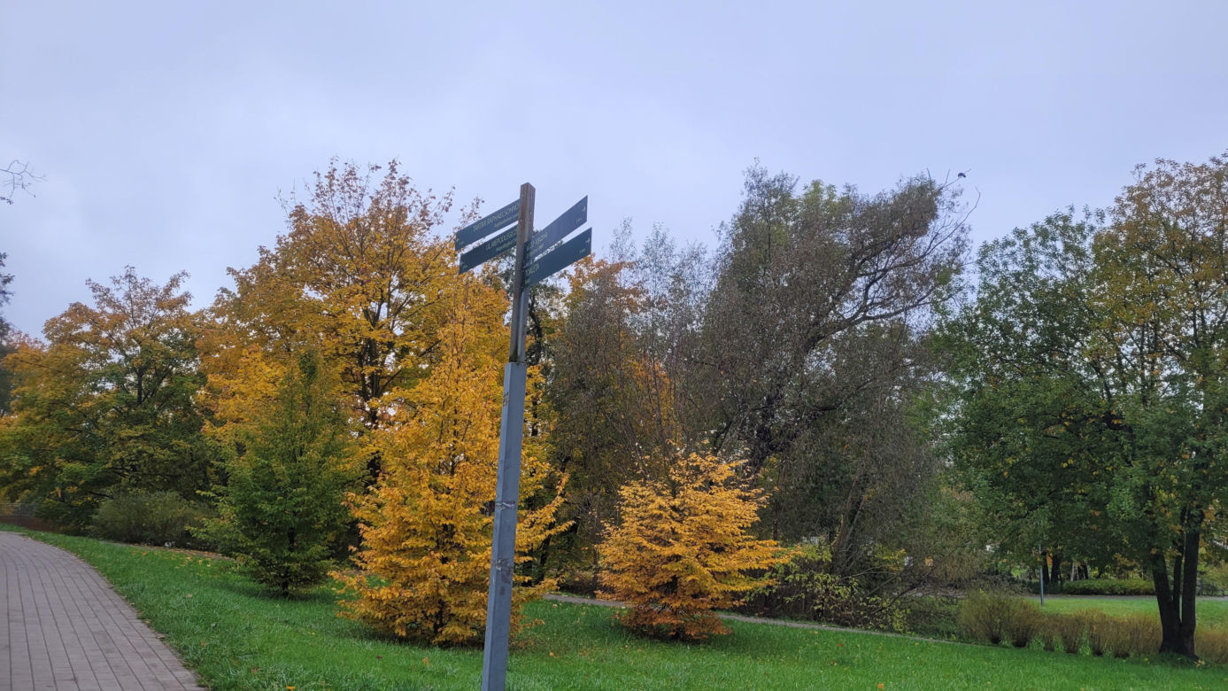 To najlepszy park w Olsztynie na jesienny spacer. Wyboru dokonała sztuczna inteligencja