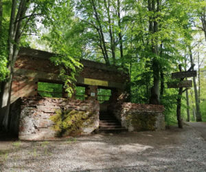 Wilczy Szaniec. Zobacz zdjęcia dawnej kwatery Adolfa Hitlera