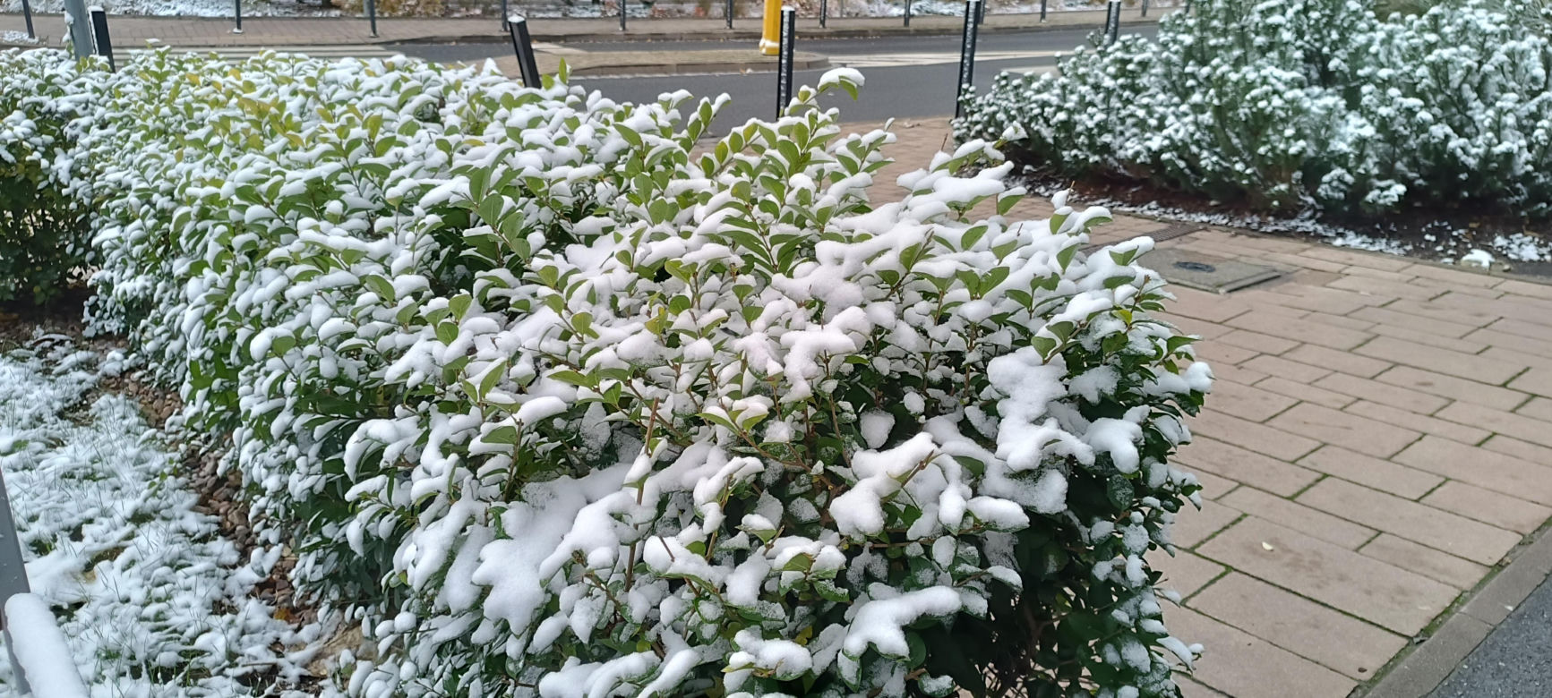 Pierwszy śnieg we Wrocławiu. Czy zima zaskoczyła kierowców? [ZDJĘCIA]