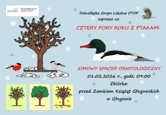 Cztery Pory Roku z Ptakami