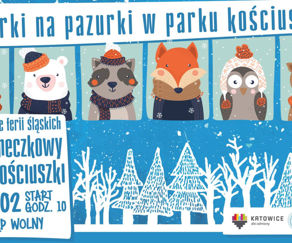 Katowice: Reaktywacja toru saneczkowego w Parku Kościuszki!