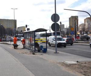 Remont ulicy Kujawskiej w Bydgoszczy trwa. Rozpoczęły się prace przy zieleni