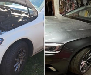 Drogie auta w dziupli. Na posesji w powiecie górowskim policjanci znaleźli skradzione osobówki 