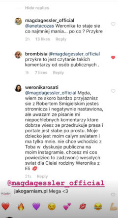 Gessler vs Rosati