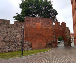 Zamek krzyżacki w Toruniu