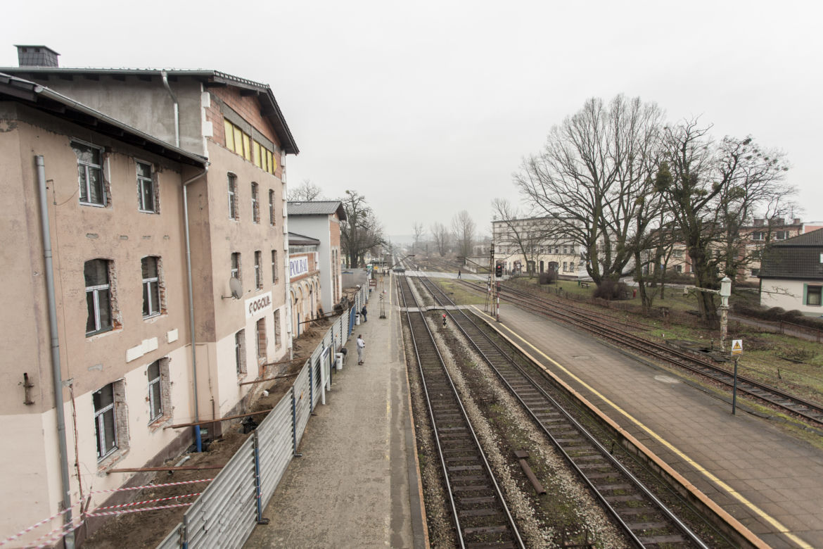 CHCĄ IM WYCIĄĆ DĄB