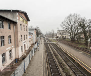 CHCĄ IM WYCIĄĆ DĄB