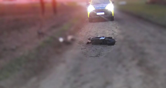 Nastolatka z impetem upadła i uderzyła głową o ziemię. Na miejsce wezwano śmigłowiec LPR