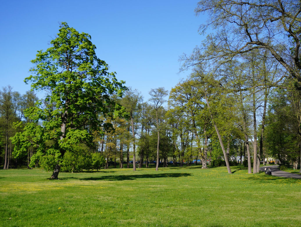 Park miejski w Opolu Lubelskim