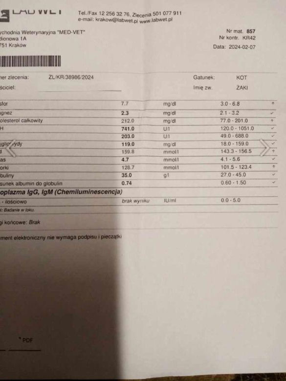 Żakuś zyskał nowe życie dzięki adopcji, teraz walczy z chorobą. "Znów przyszła po niego śmierć"