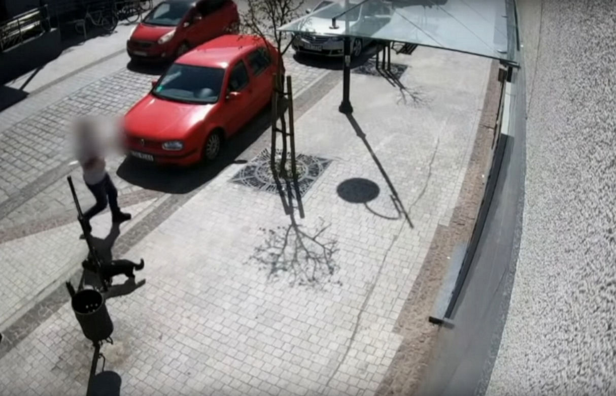 Przerażające sceny w Lęborku! Wielki pies zerwał się ze smyczy i zaatakował trzy osoby. 8-latka pogryziona [ZDJĘCIA].