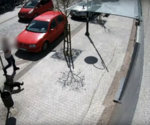 Przerażające sceny w Lęborku! Wielki pies zerwał się ze smyczy i zaatakował trzy osoby. 8-latka pogryziona [ZDJĘCIA].