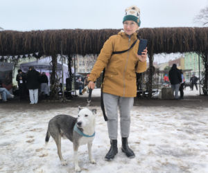 Spacer z pieskami w Lesznie