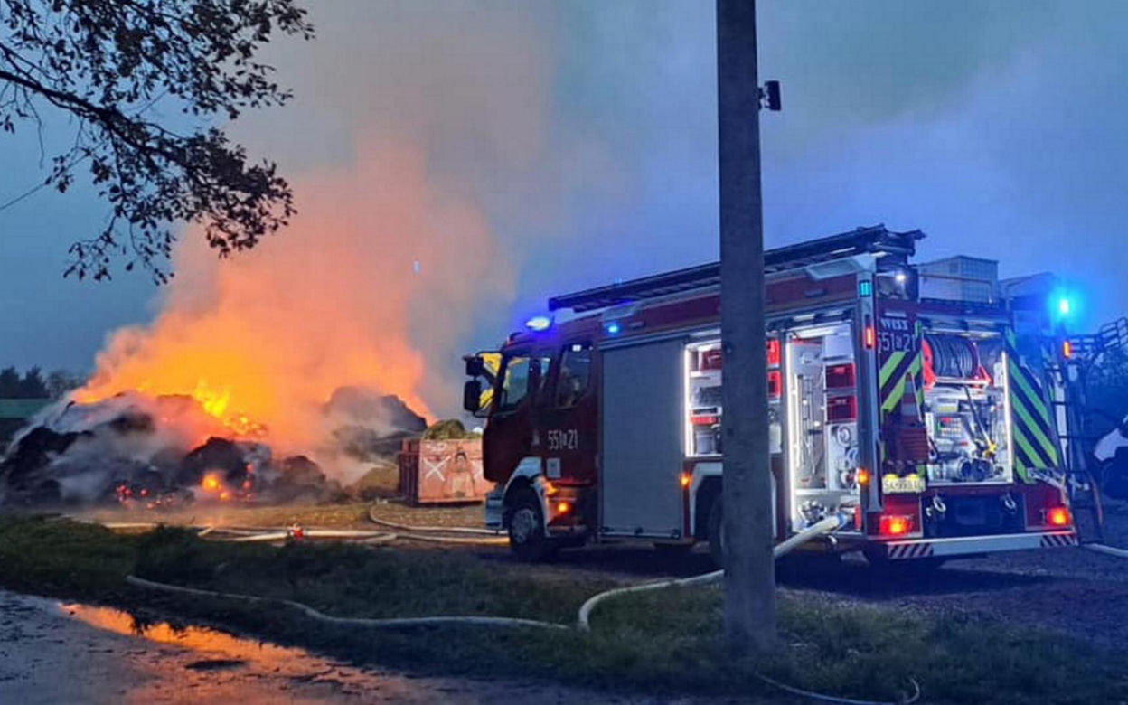To on podpalił siano zwierzakom z Przystani Ocalenie