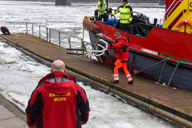 Lodołamacze na Wiśle w Toruniu. Kruszyły lód i pomogły uratować pomost