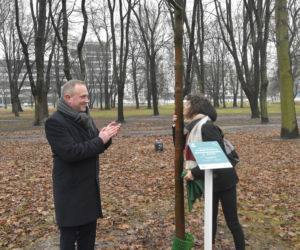 Powstańcy zapuścili korzenie. 20 drzew dla bohaterów w parku na Woli