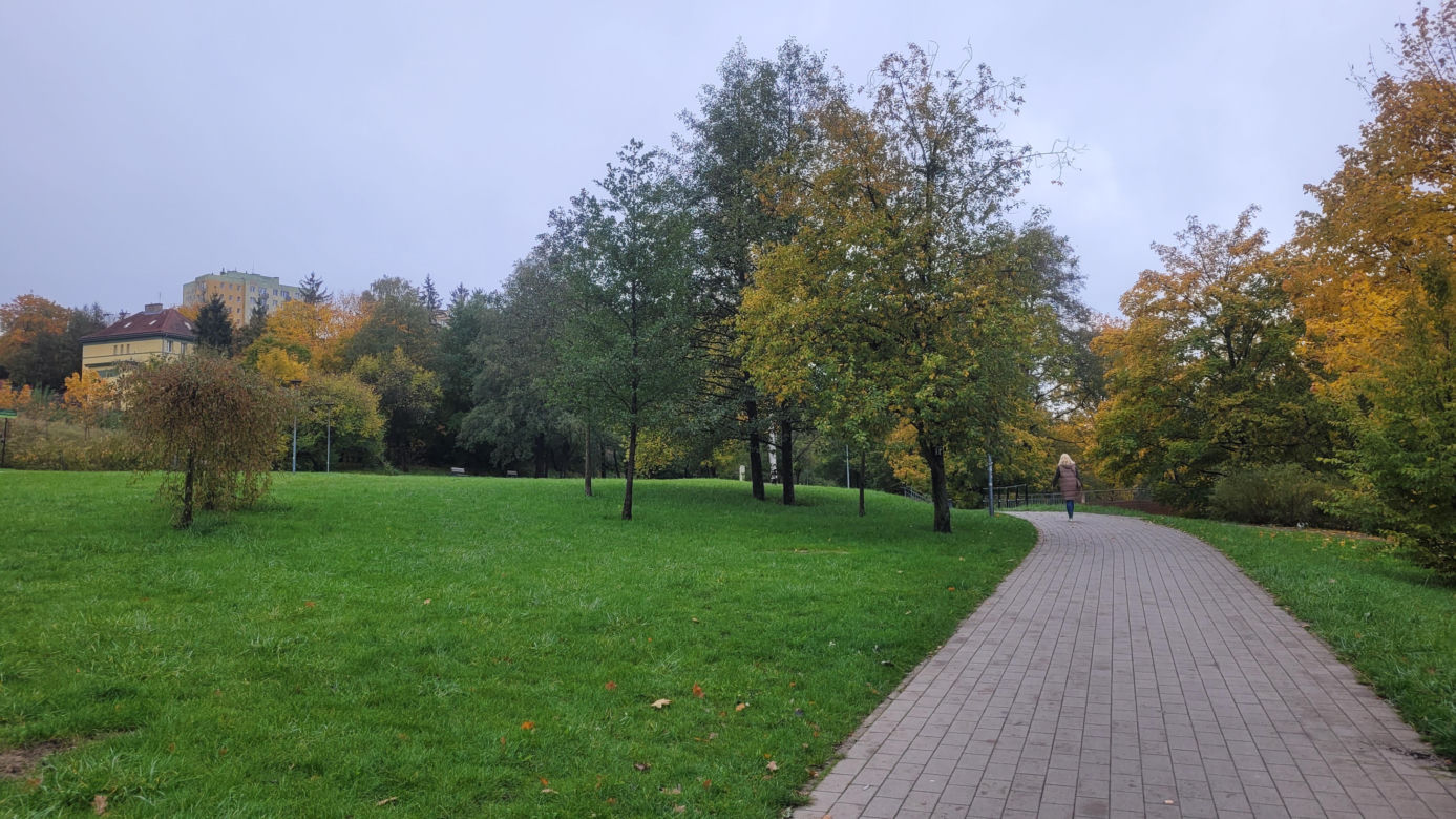 To najlepszy park w Olsztynie na jesienny spacer. Wyboru dokonała sztuczna inteligencja
