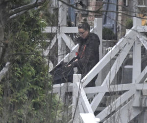 Prawdziwe paparazzi Rozenków nad morzem