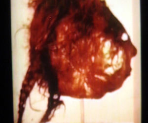 ED GEIN