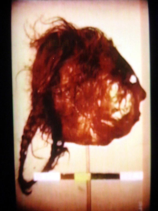 ED GEIN