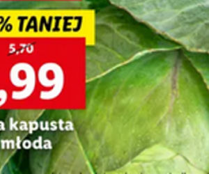 Promocje w Lidlu na sobotę