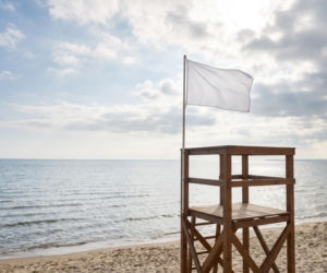Sinice Gdynia. Czy w Gdyni można się kąpać 19.08? Flaga, warunki pogodowe