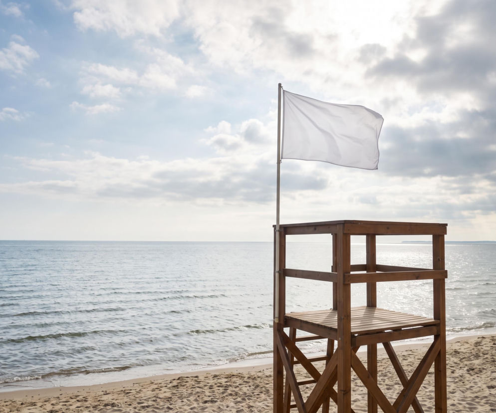 Sinice Gdynia. Czy w Gdyni można się kąpać 19.08? Flaga, warunki pogodowe