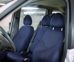 Fiat Multipla w Panek CarSharing