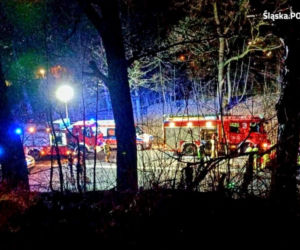 Tragedia na DK88 w Gliwicach. Nastolatek wbiegł wprost pod maskę pędzącego samochodu [ZDJĘCIA]