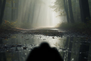 Zabójstwo Zyty Michalskiej. Jak rozwiązano makabryczną zagadkę po 27 latach?