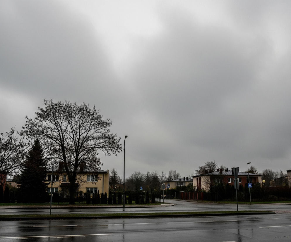 Na pierwszym planie, u dołu kadru, znajduje się ciemny, mokry asfalt, odzwierciedlający światło szarego nieba i latarni, z widocznymi białymi liniami pasów ruchu. Po prawej stronie drogi widać znak drogowy z niebieskim tłem i białym symbolem pieszego, a dalej drugi podobny znak. W środku kadru, za asfaltową nawierzchnią, rosną drzewa z nagimi gałęziami o ciemnej barwie, a za nimi widać szereg budynków mieszkalnych o różnych kolorach elewacji, w tym żółtym i ceglastym, z ciemnymi dachami. Cały obraz spowija ponure, szare, zachmurzone niebo, dominujące w górnej części zdjęcia.