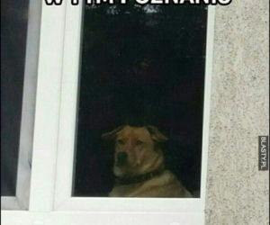 Tak internet się śmieje się z Poznania! Zobacz najlepsze MEMY!