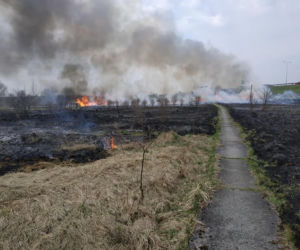 Wypalanie traw to śmiertelne zagrożenie. Giną ludzie i zwierzęta